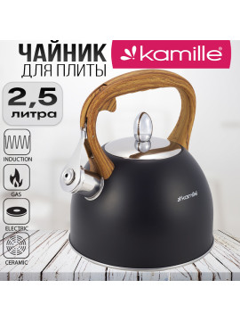 Чайник металлический 2,5 л. Kamille KM-1096