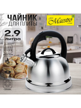 Чайник 2.9л. Maestro MR-1329